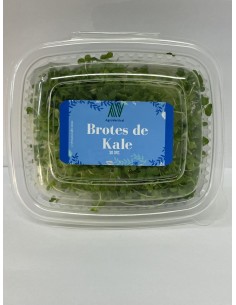 Brotes de Kale  VER-002  DESPENSA PERECIBLES