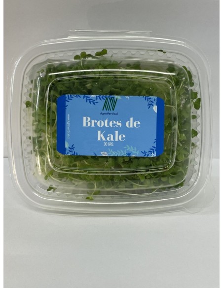 Brotes de Kale